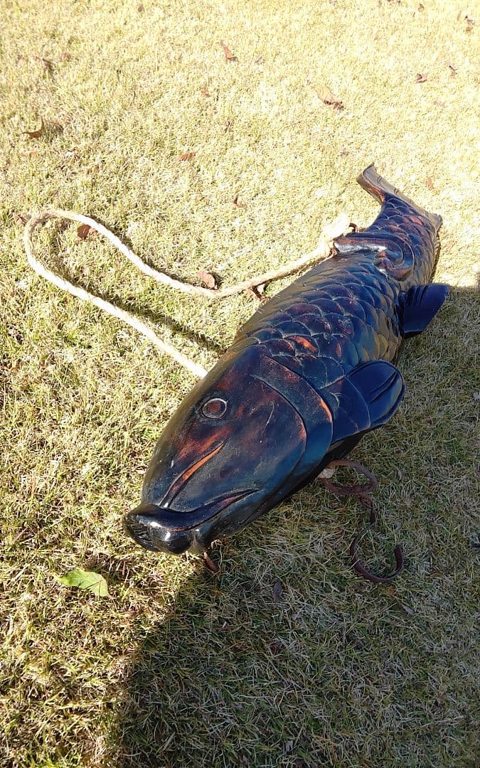 自在鉤の特大鯉　92センチ