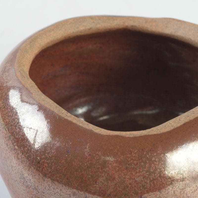 茶道具　柿　香合　共箱　V　9670