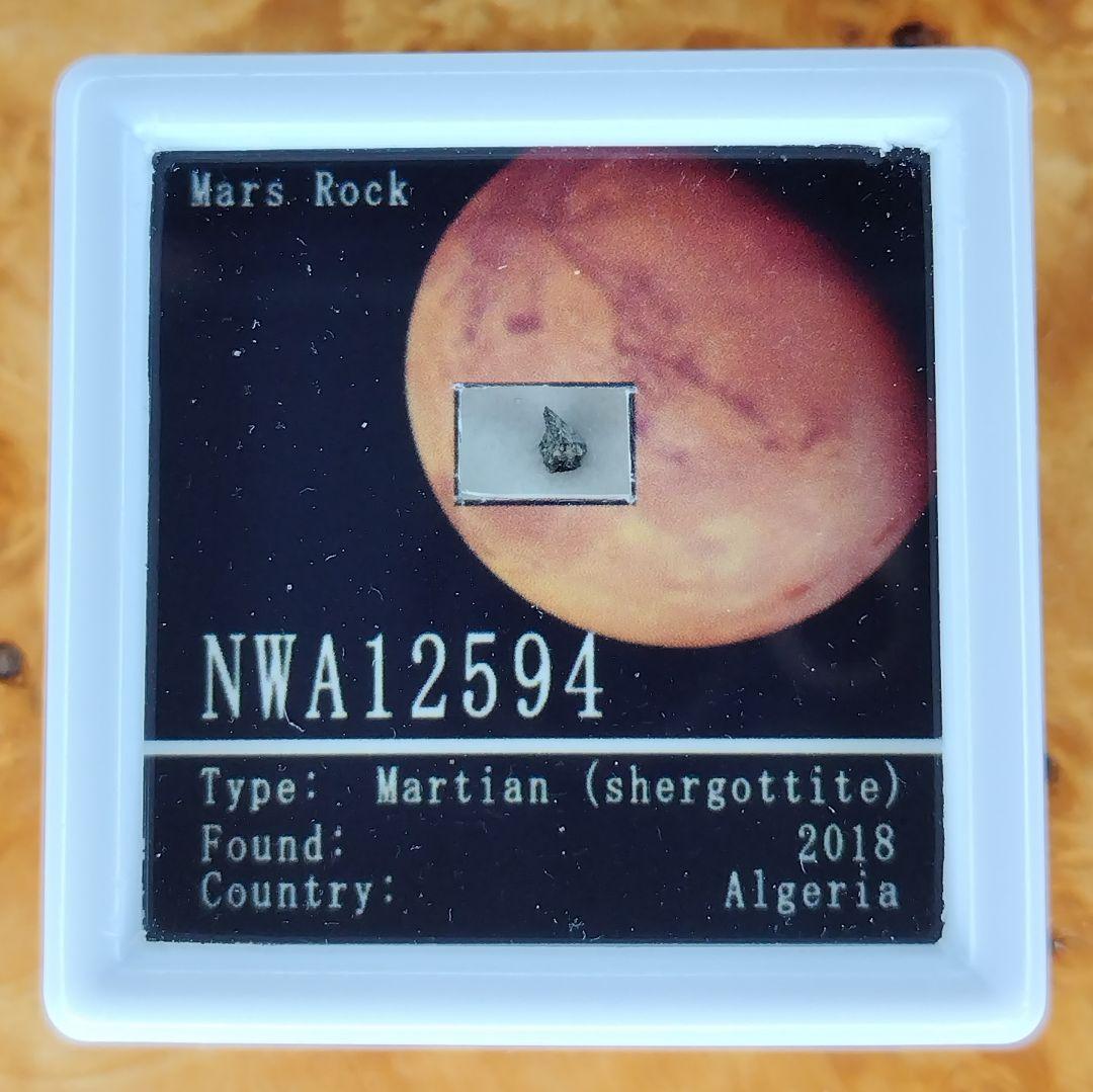 ⭐火星の石！シャーッゴッタイト　 NWA 12594　隕石標本