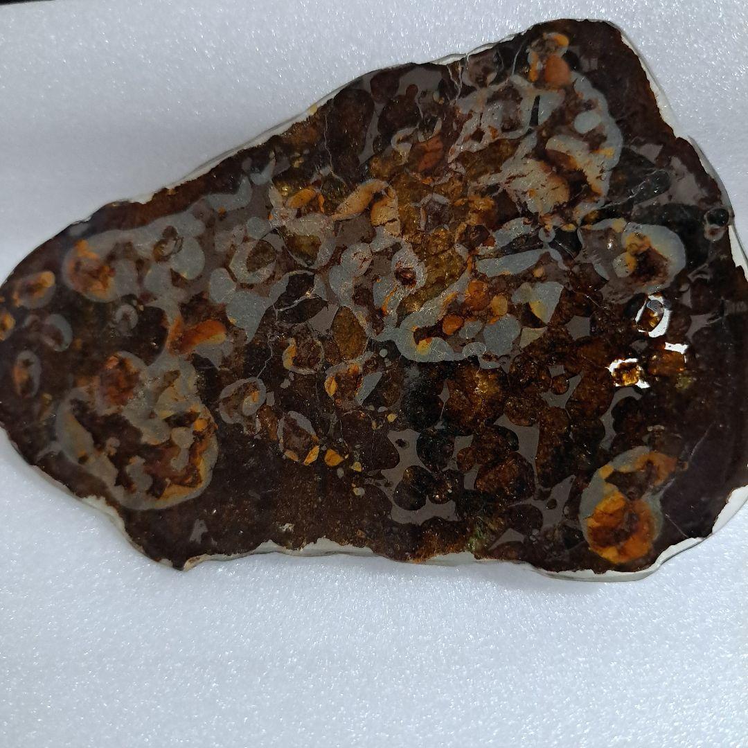 ケニア産　セリコで発見 パラサイト隕石　石鉄隕石