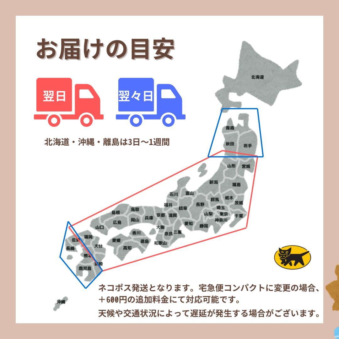 B ジャンク　Pixel Fold SIMフリー　256GB ブラック　本体