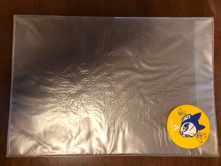 激レア　安室奈美恵　サイン入り　ツアー　パンフレット