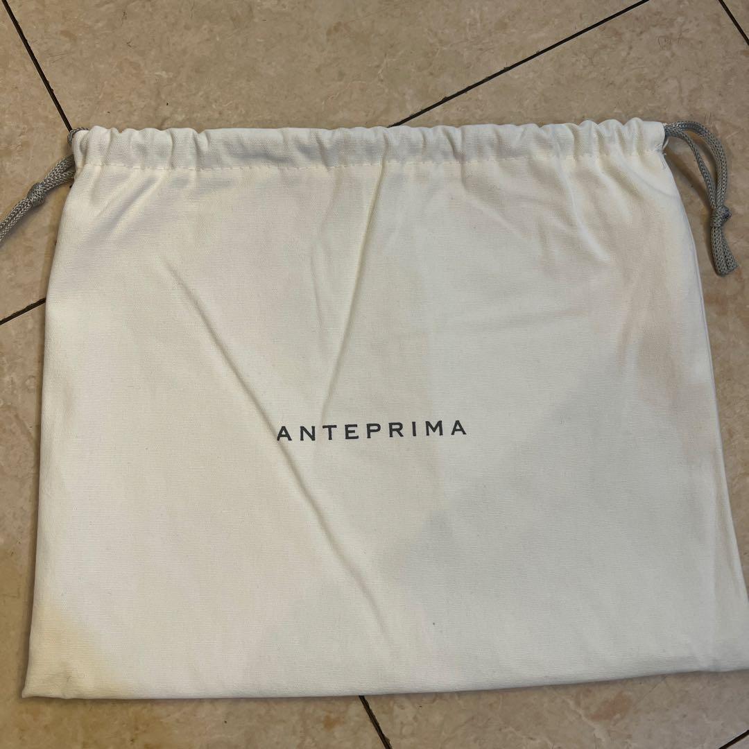 【neko】日本未発売品アンテプリマ ワイヤーグリッター ハンドバッグ