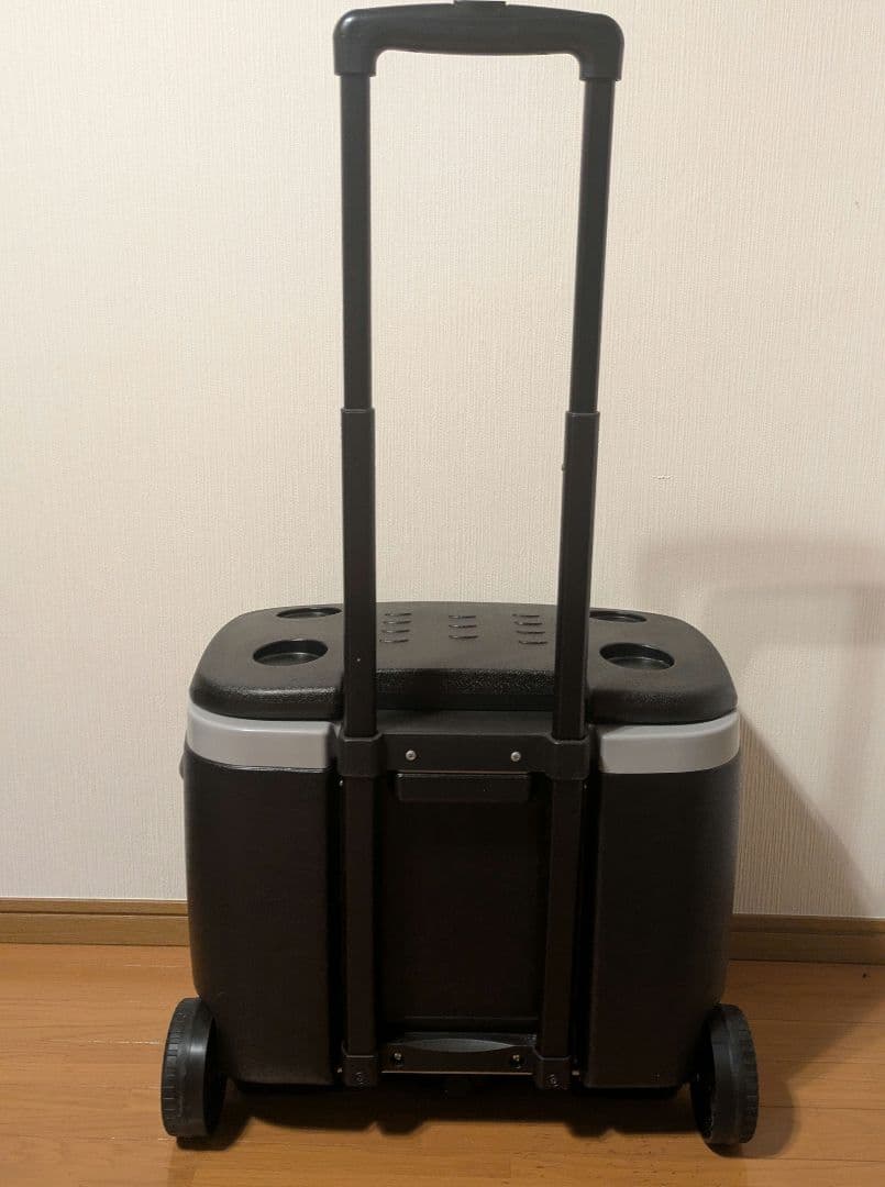 激レア　マキシマム ザ ホルモン　Monster　クーラーボックス　非売品