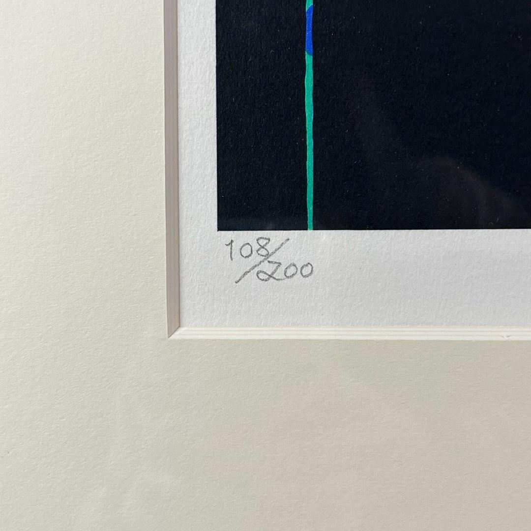 美品 中島千波「ポインセチア」リトグラフ 直筆サイン・落款有 額縁入り 日本画家