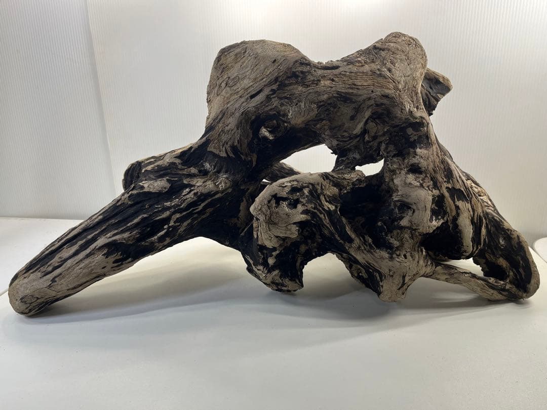 m46特大流木 大型流木 アク抜き済み 爬虫類シェルター レイアウト用 隠れ家