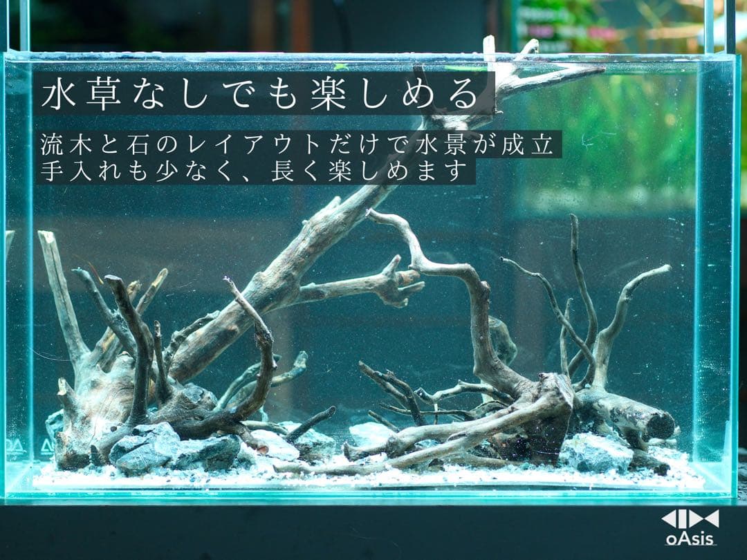 アクアリウム 流木 レイアウトセット 60cm 熱帯魚・水草水槽用
