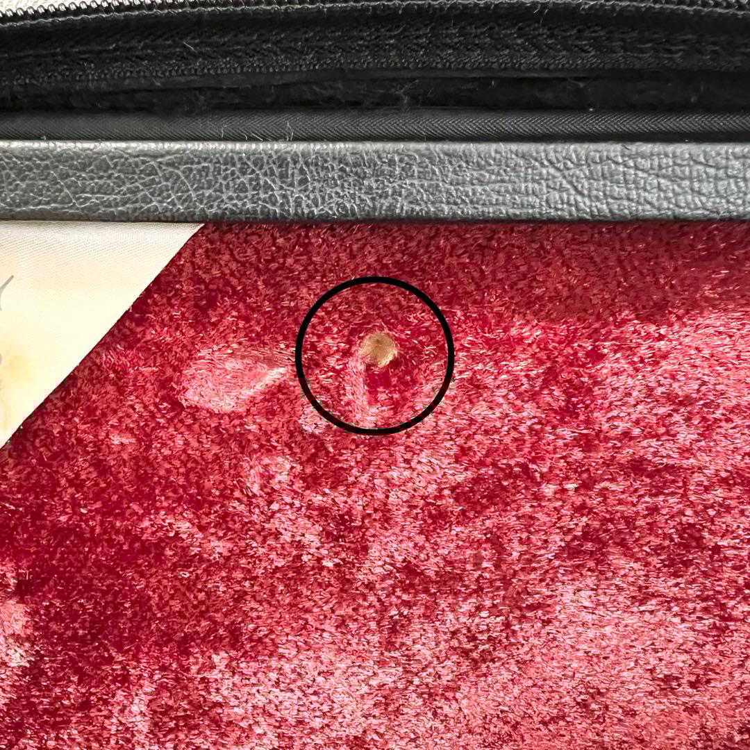 ⭐️値下げ中⭐️ YAMAHA Professional クラリネット YCL651