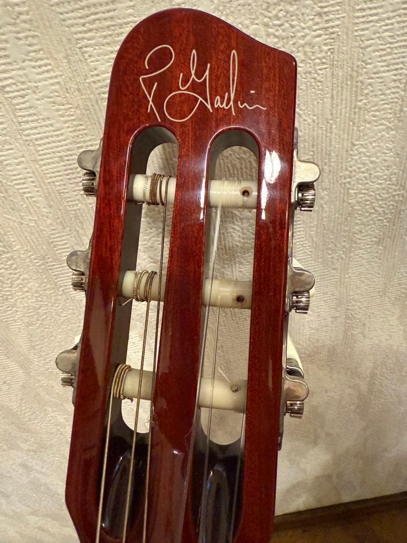 モツ様 Godin Multiac Nylon Encore Natural