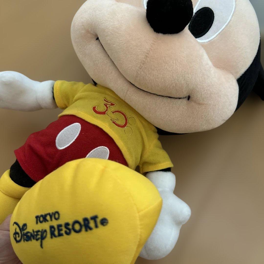 限定ミッキー・ミニー ぬいぐるみセット 30周年