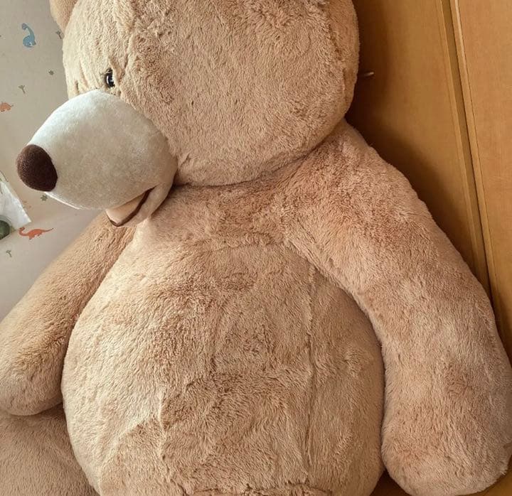 コストコ　ぬいぐるみ（BIG）