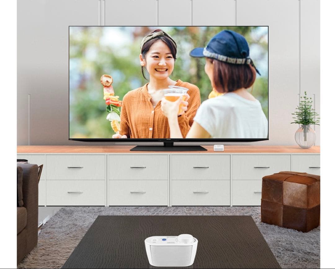 【新品】SHARP AQUOSサウンドパートナー AN-WSP1