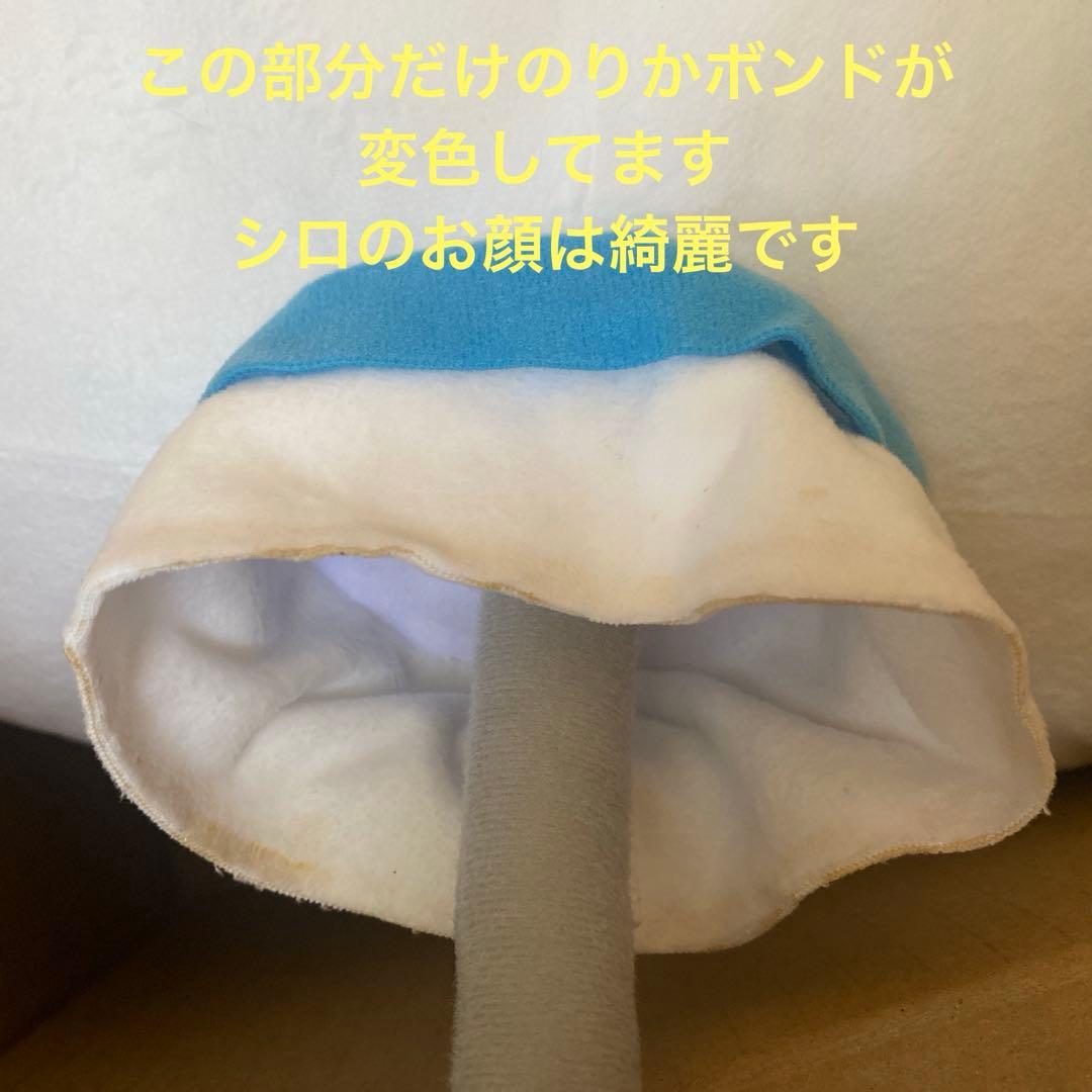 詰め放題　118cm 先入あり