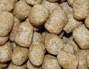 Mazuriリクガメ用フード（トータスダイエット5Ｍ21）たっぷり8kg