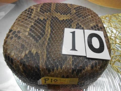 (送料無料)12.980円　沖縄三線専用　蛇皮強化チーガ、自作へ挑戦三点から選択