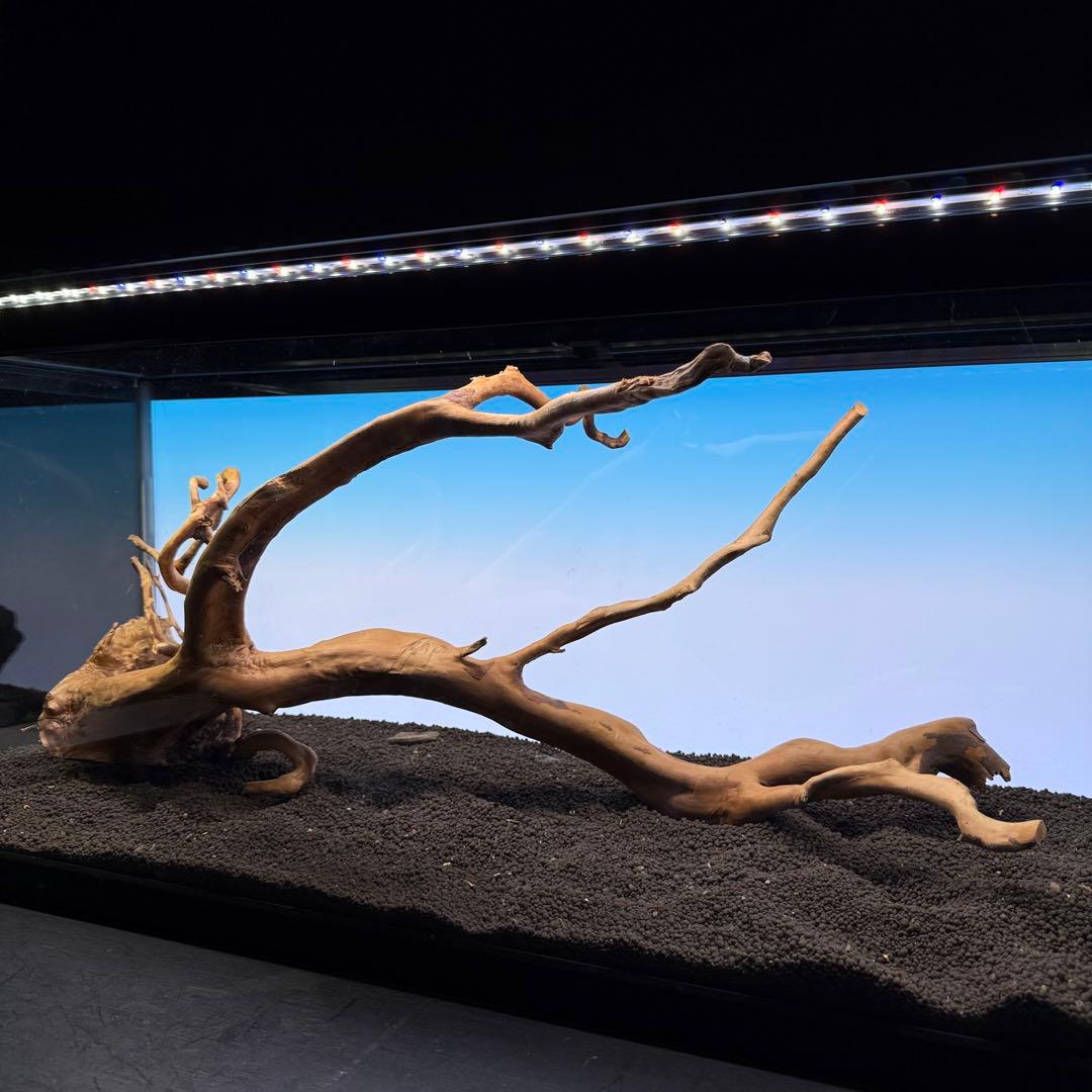 MDW-6921 特大ブランチウッド　流木　枝流木　アクアリウム