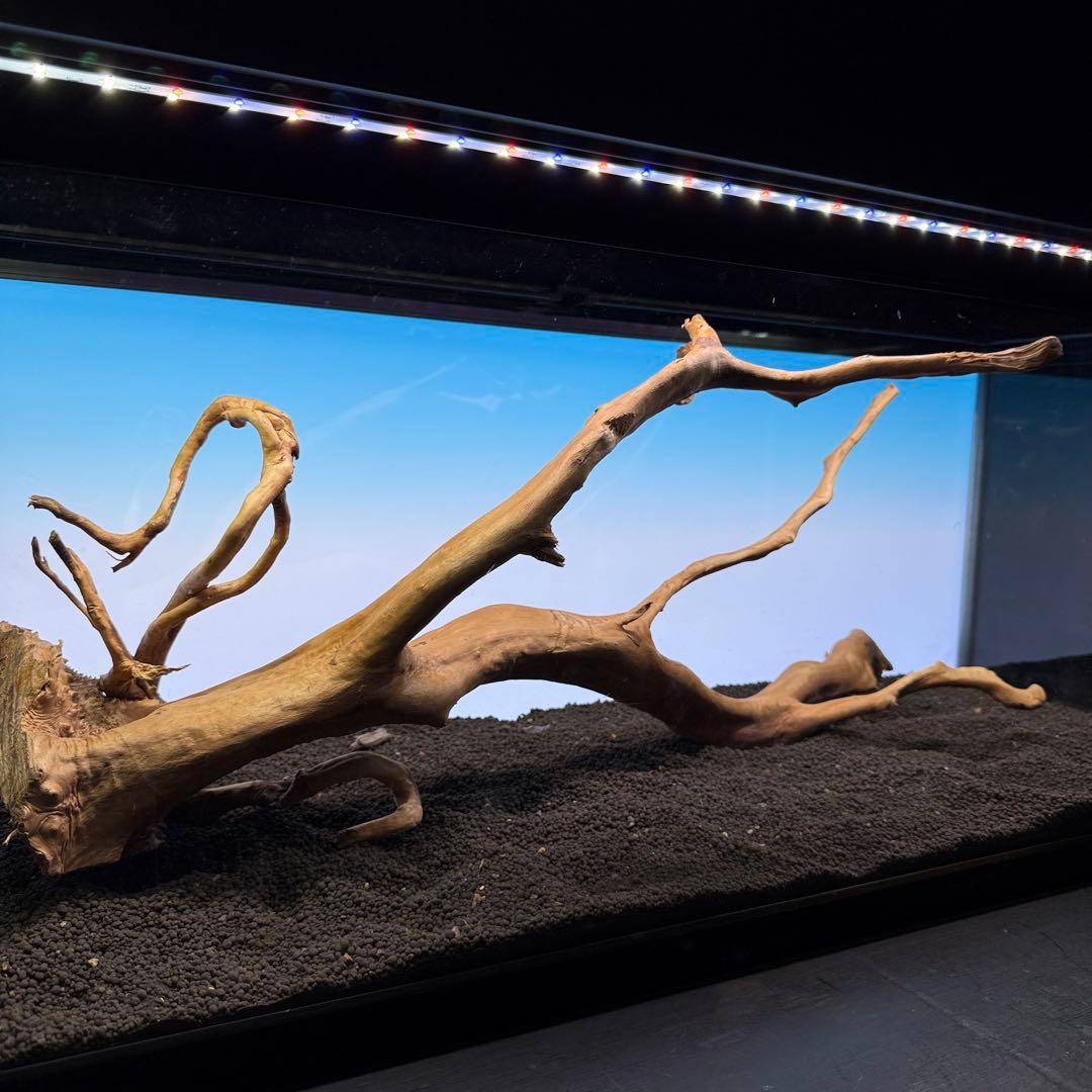 MDW-6921 特大ブランチウッド　流木　枝流木　アクアリウム