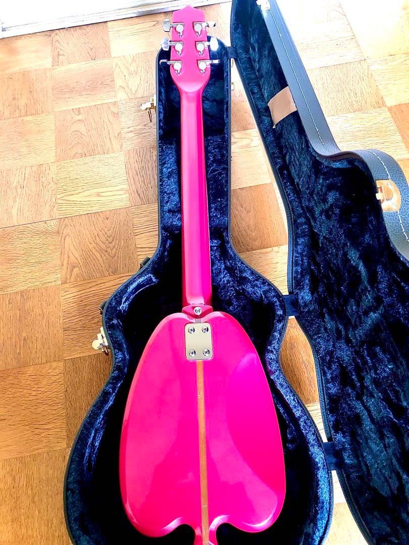 超希少！珍品HSアンダーソン-ヒューストン