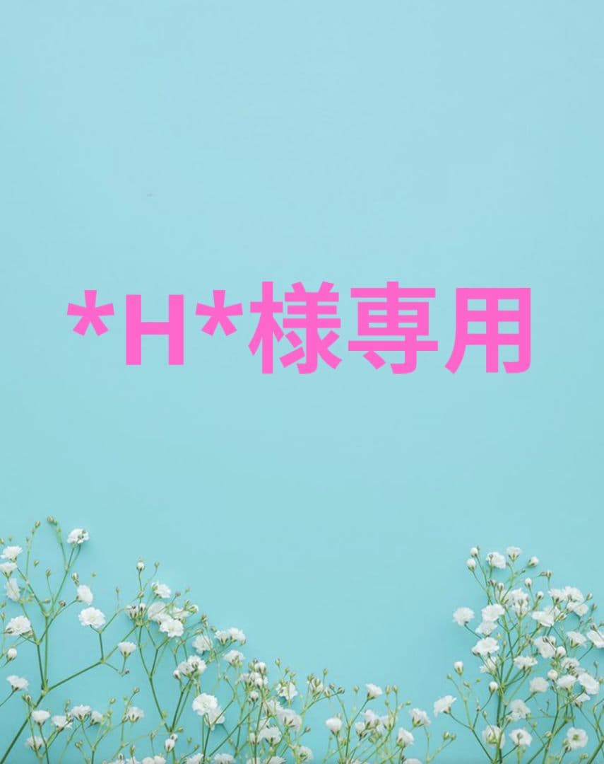 ドッグフード *H*