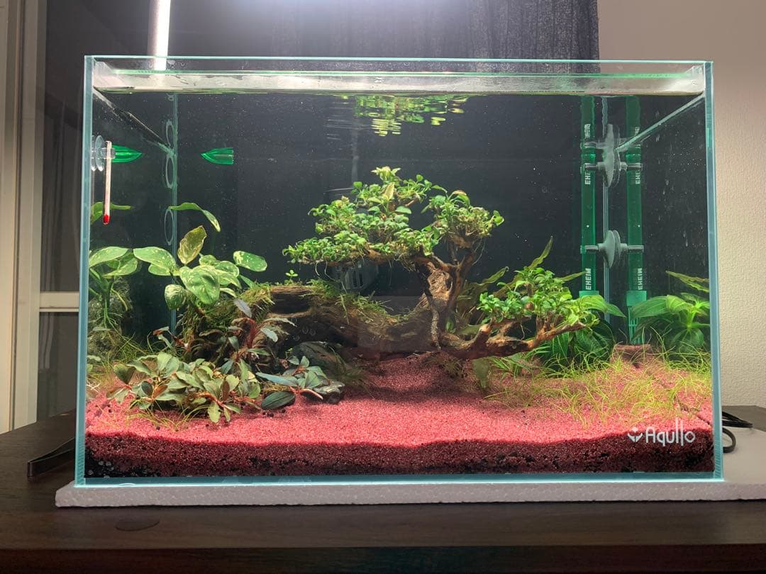 アクアリウム用 流木ボンサイ レイアウト素材