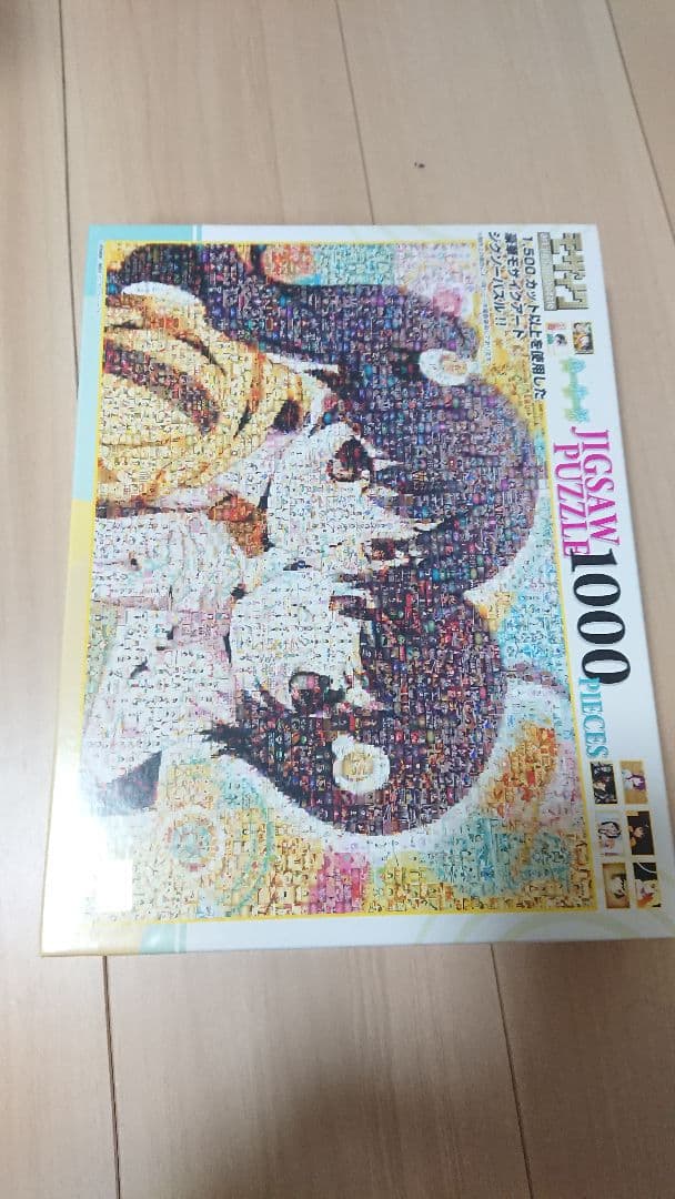 化物語・偽物語 ジグソーパズル1000ピース