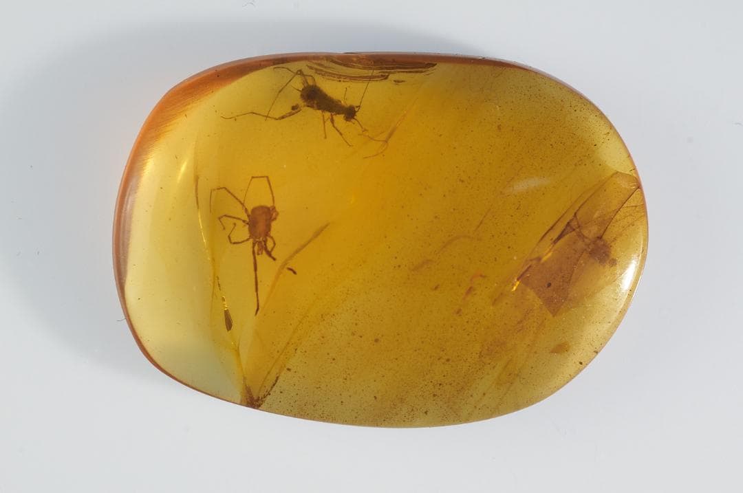 レア極上品 PA0051虫入り琥珀化石　ミャンマーカムティかタナイ9900万年前