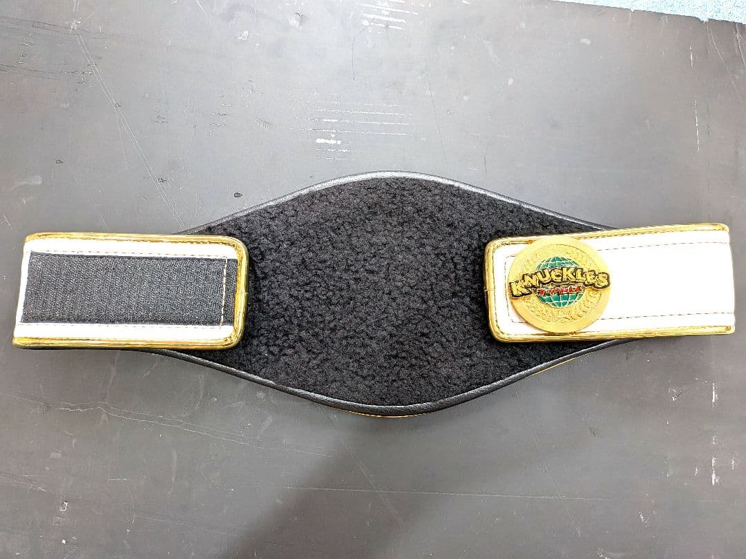 伝説の猛女。ち⇒わたし出品者被害者の1人様チャンピオンベルト 専用バック付き