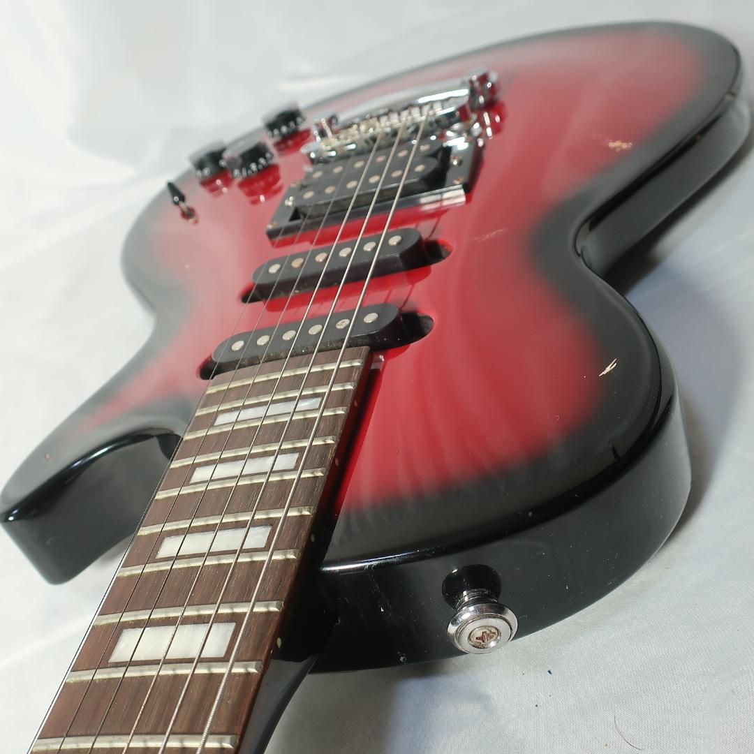 GrassRoots LUNA SEA INORANモデル エレキ ケース付