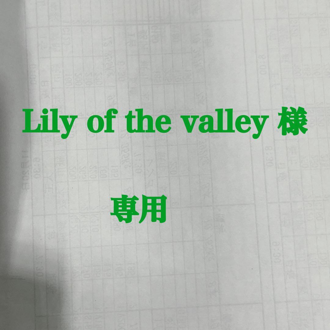 青山ハープ AOYAMA 140D 36弦　アイリッシュハープ　レバー　虎杢