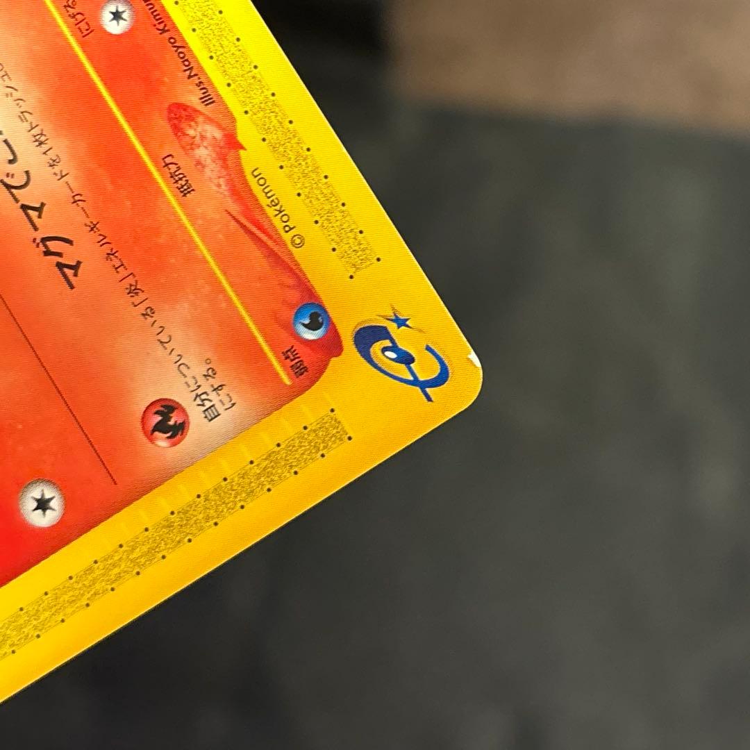 R*様 #ゆんの気まぐれオークション　（梅）　マグマッグ　マグカルゴ