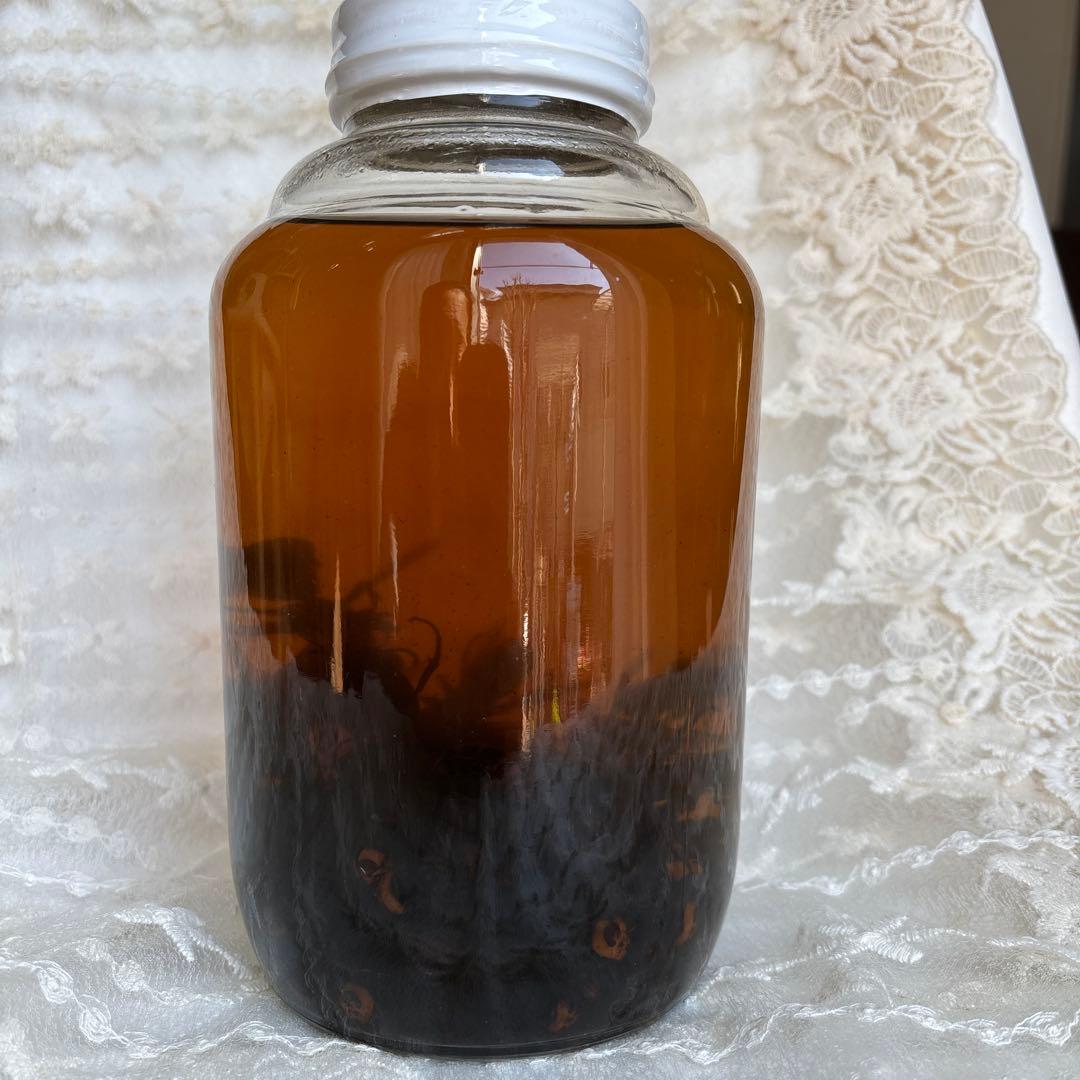 スズメバチの焼酎漬け　大瓶