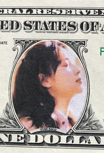 ☆ZARD　坂井泉水　1ドル紙幣　H