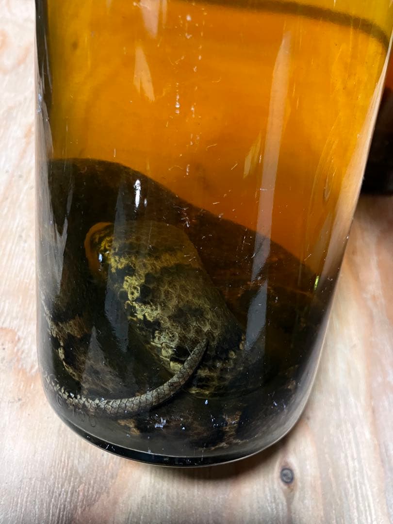 琥珀色の焼酎 マムシ酒(2本セット