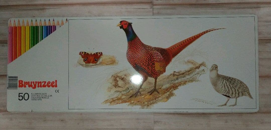 オランダ製「色鉛筆」×５０本セット