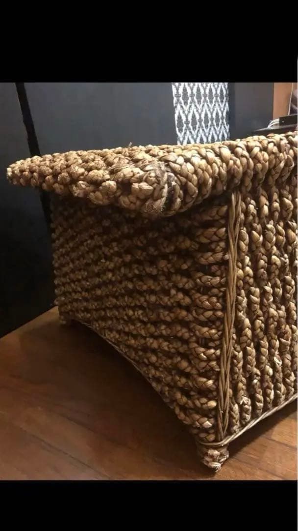 希少♦️ウォーターヒヤシンス♦️高級サンベット♦️シェーズロング 2脚セット♦️着払い