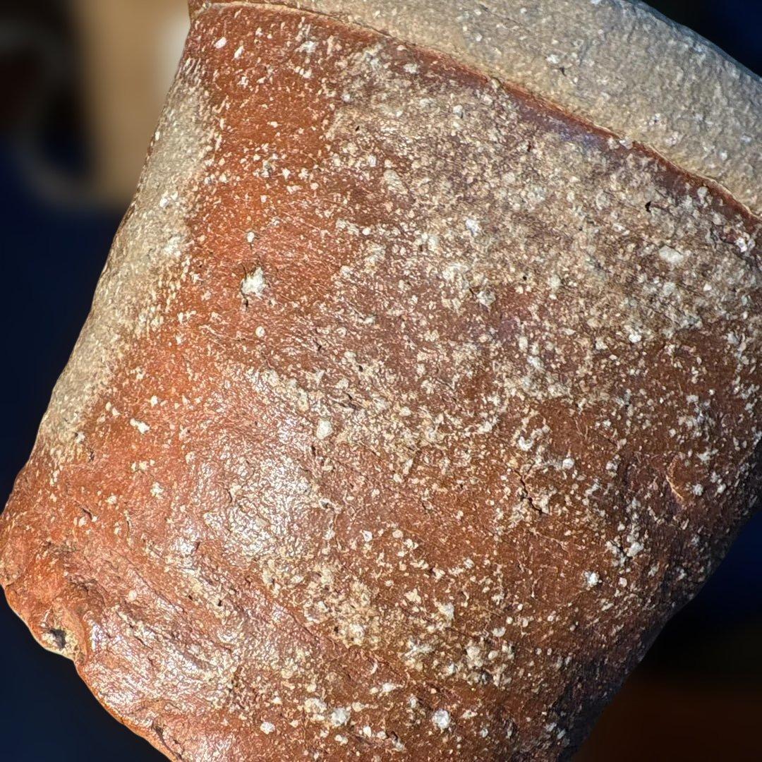 澤清嗣作　信楽焼　信楽鬼桶水指 陶器 水差し 茶色 円筒形 木箱付き