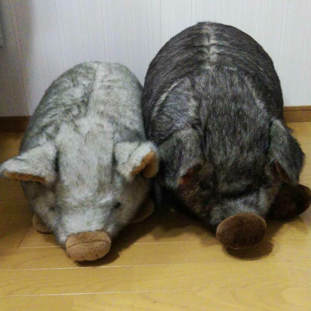 ぬいぐるみ セキグチ ぶた ブタ 豚