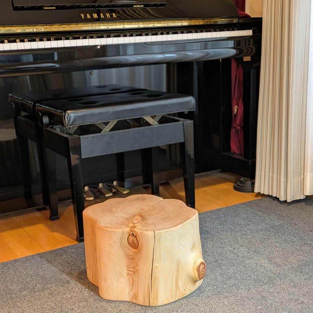 天然ヒバ　切り株　丸太　椅子　スツール　高さ約23.5cm