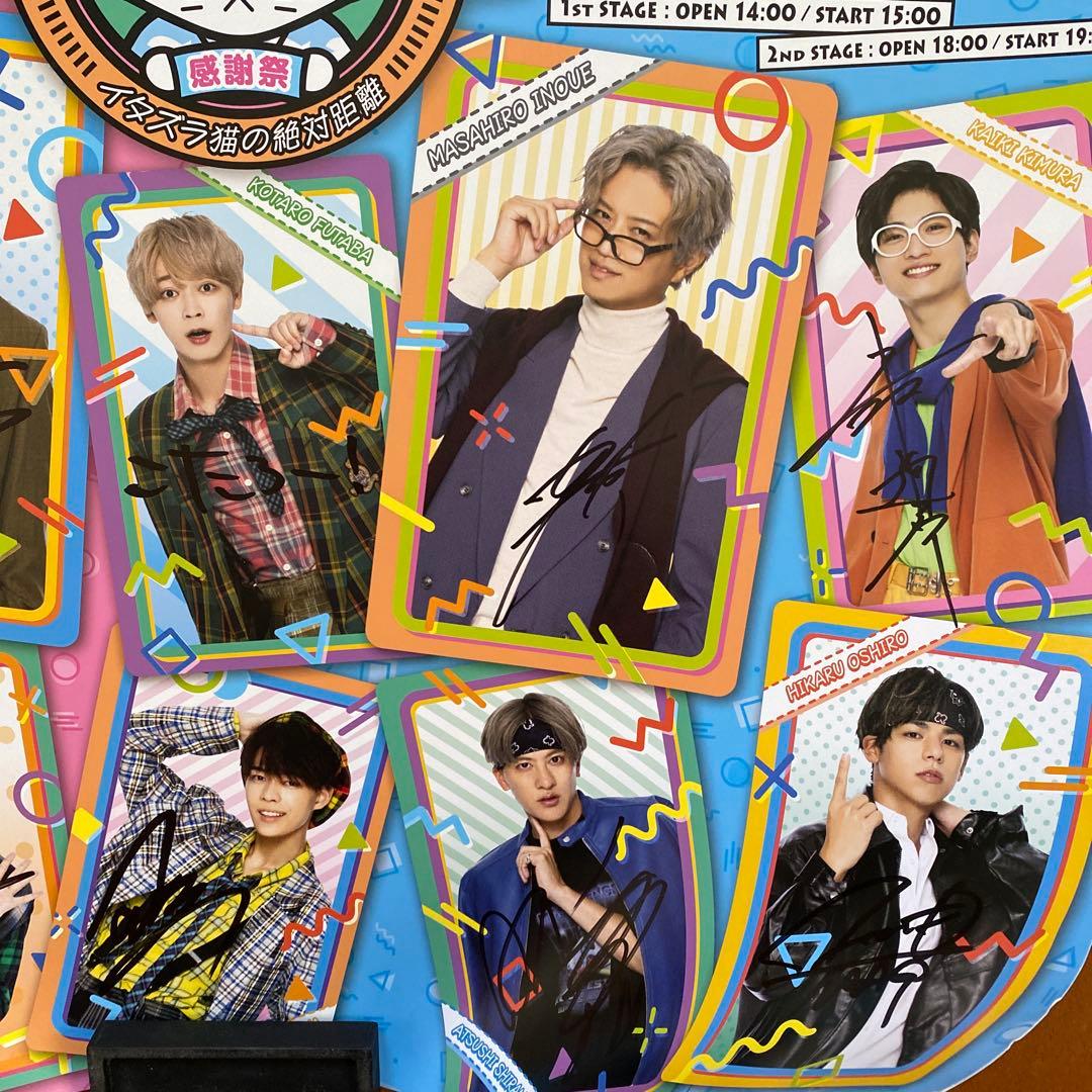 猫のひたいほどワイド 8周年 感謝祭 直筆サイン入り ポスター