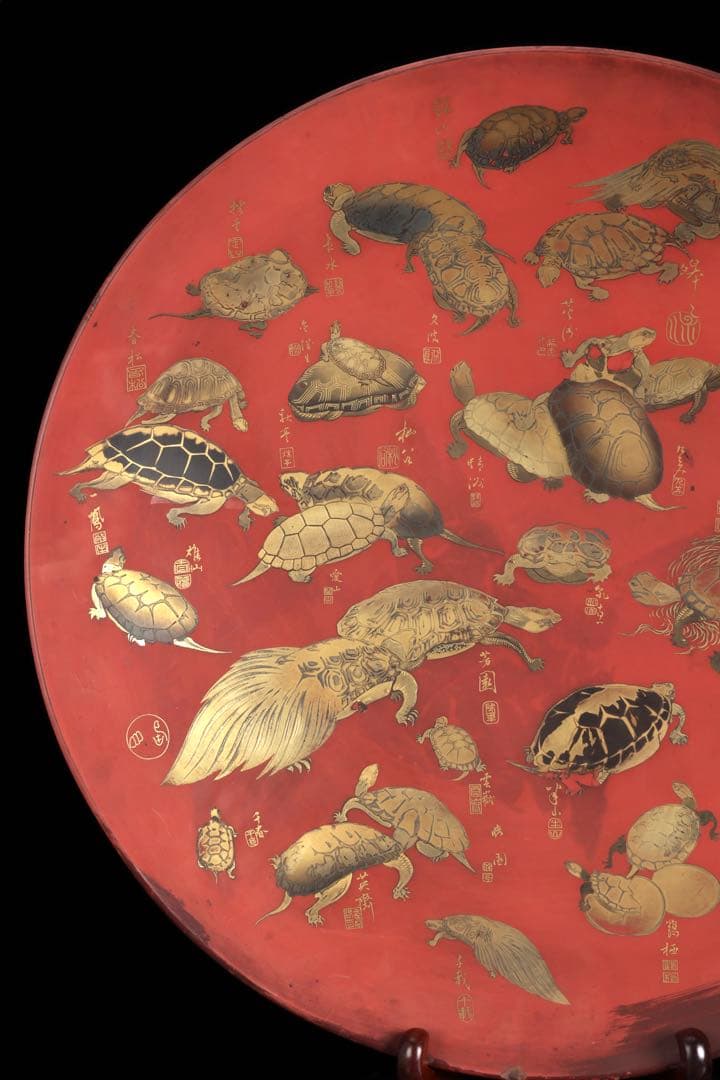 買*き様 特大62cm 朱漆蒔絵 亀尽図大盃 大杯 飾皿 縁起物 長寿 吉祥 骨