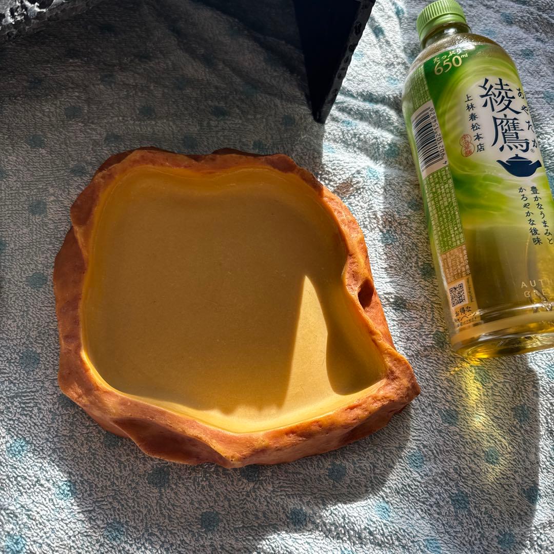 爬虫類　餌皿　水皿　シェルターセット