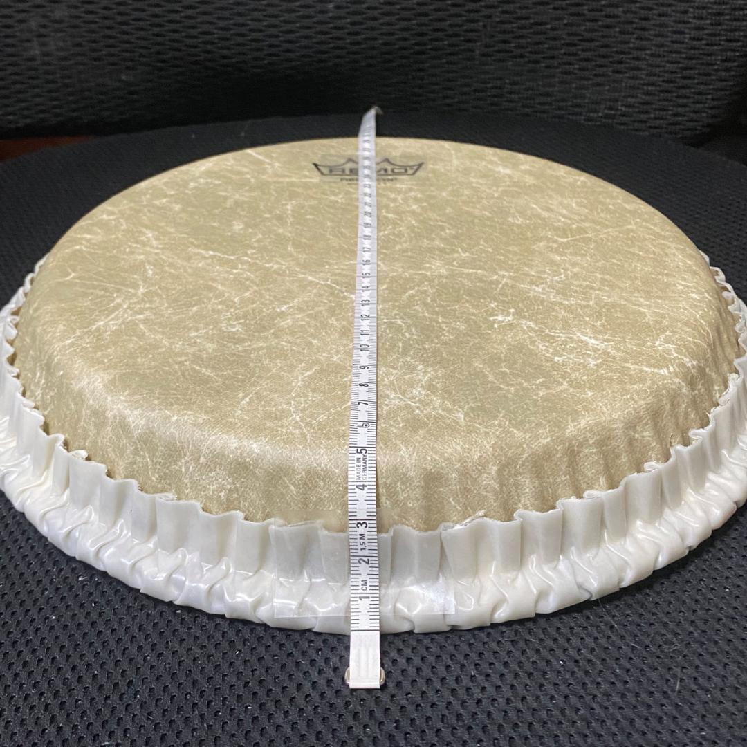 コンガヘッド REMO M7-S100-F5 10インチ