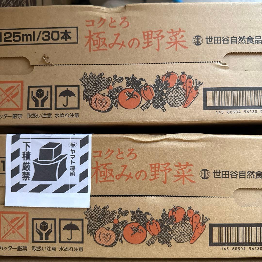 コクとろ極みの野菜 世田谷自然食品　2セット