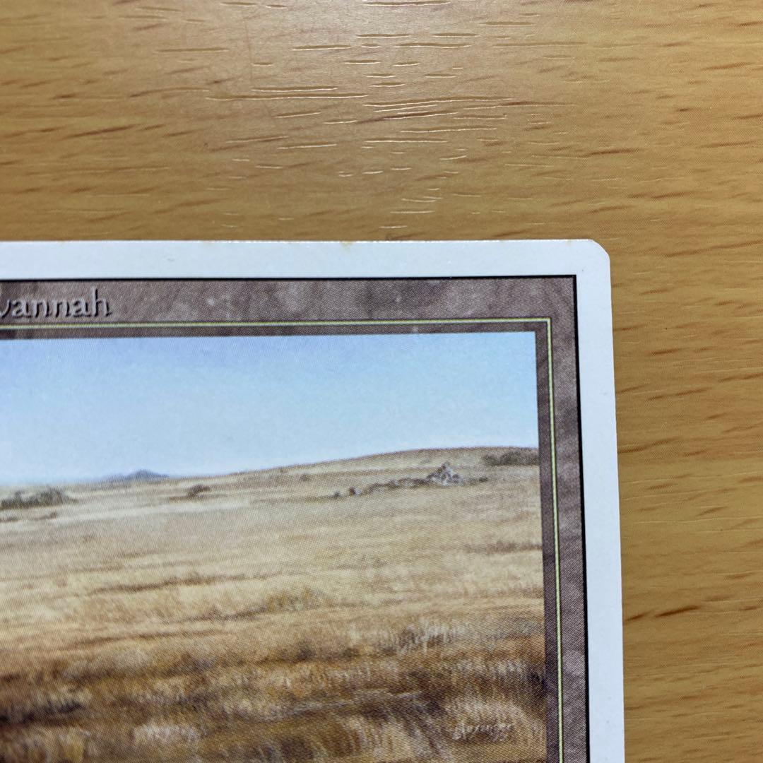 マジック：ザ・ギャザリング MTG Savannah