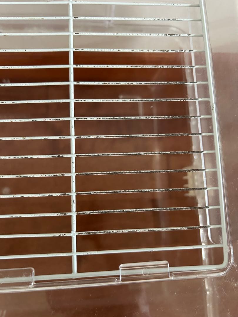 ルーミィ60ハムスター飼育セット