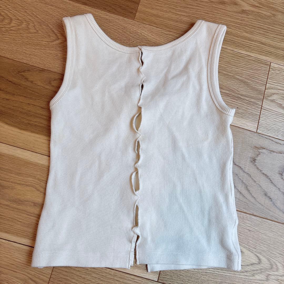 シシクイ　holed north