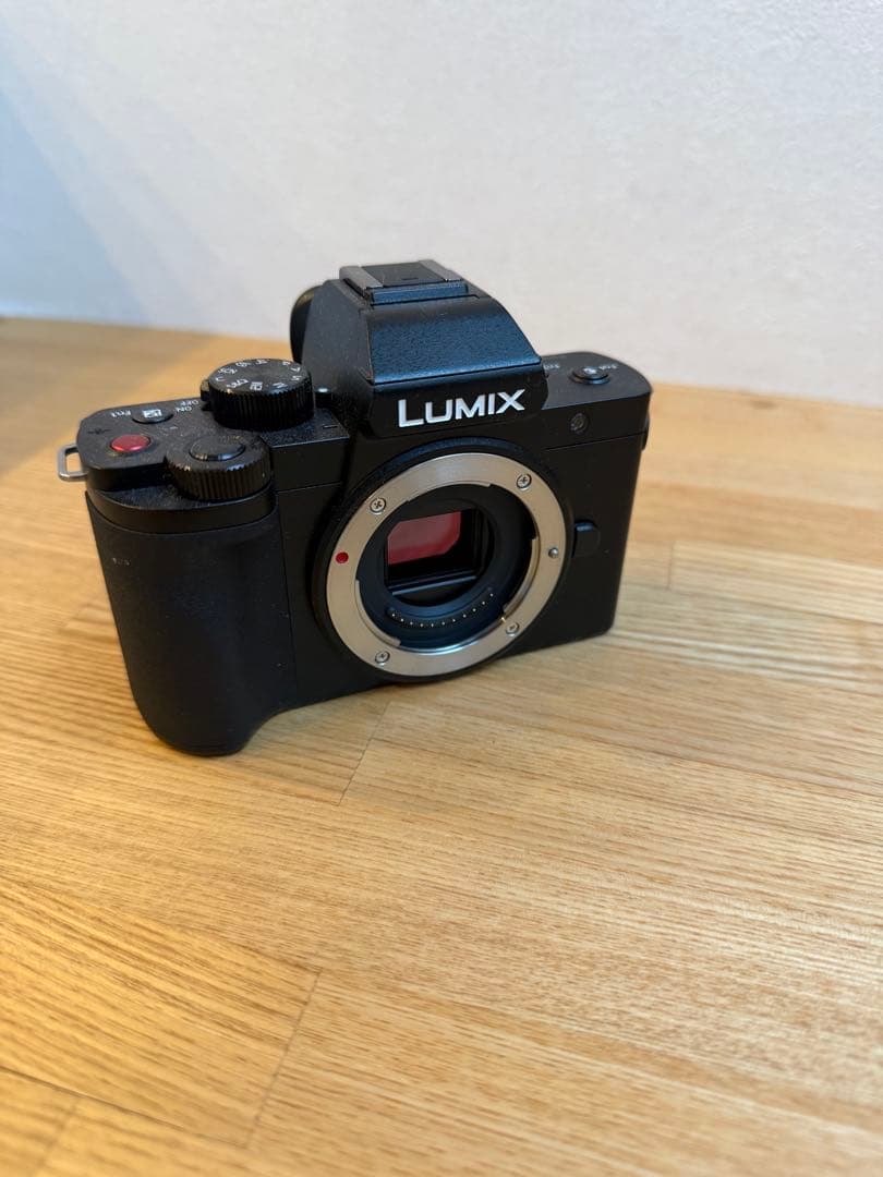 Panasonic Lumix DC-G100V ミラーレスカメラ