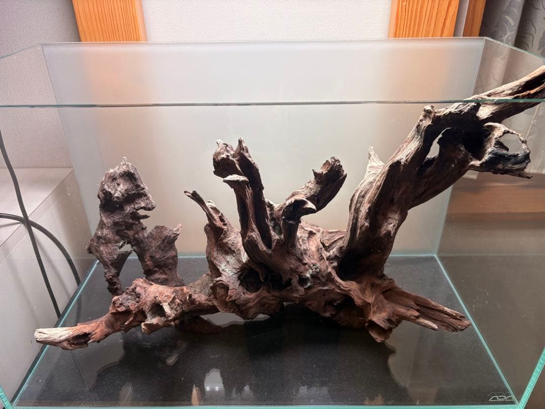 ADA ホーンウッド流木と小型流木