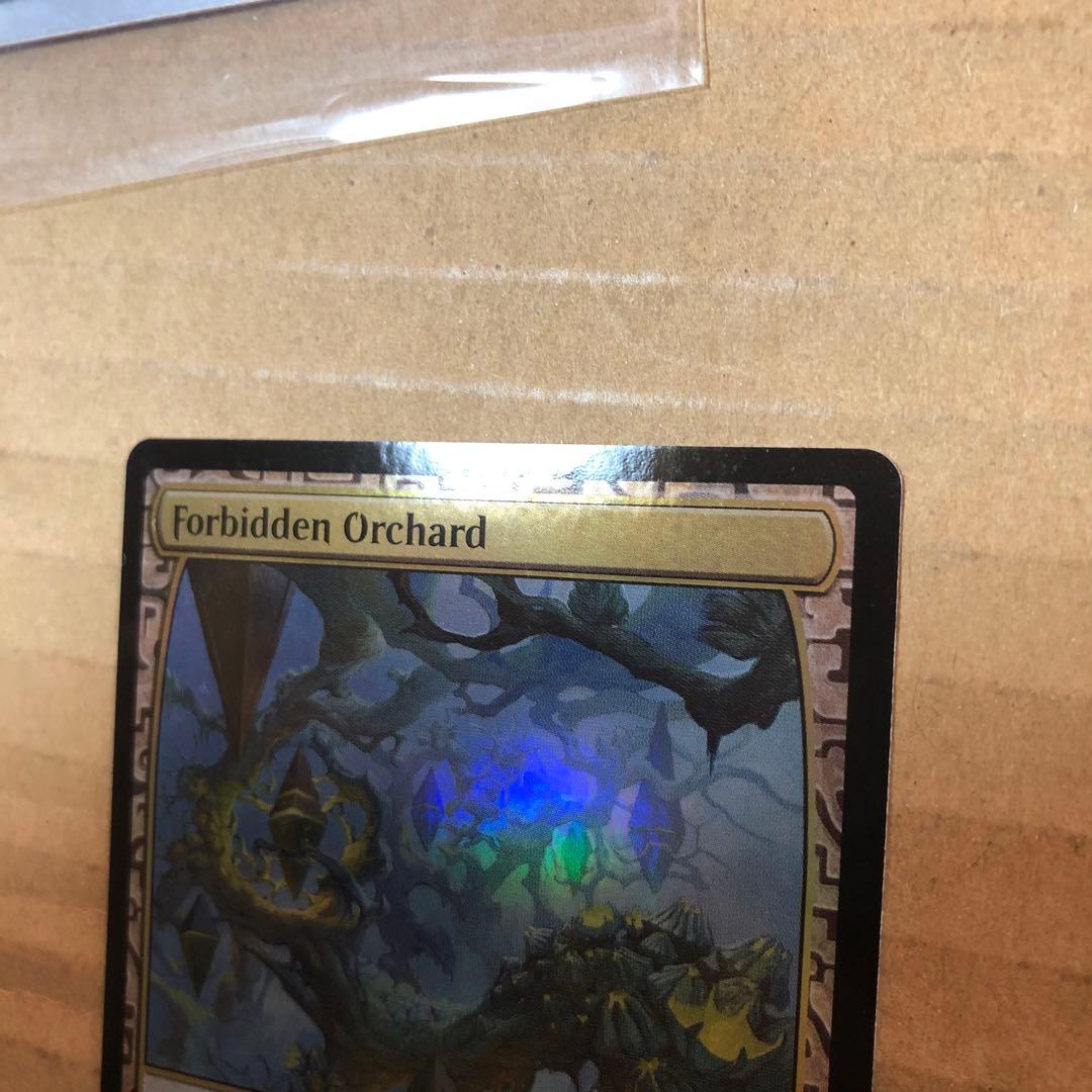 禁忌の果樹園　窪み渓谷 黄昏のぬかるみ　3枚セット　FOIL MTG