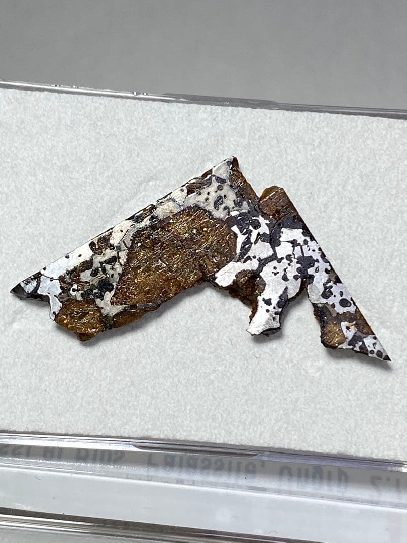 パラサイト隕石　Hassi el Biod 002　スライス　ケース　証明書付き